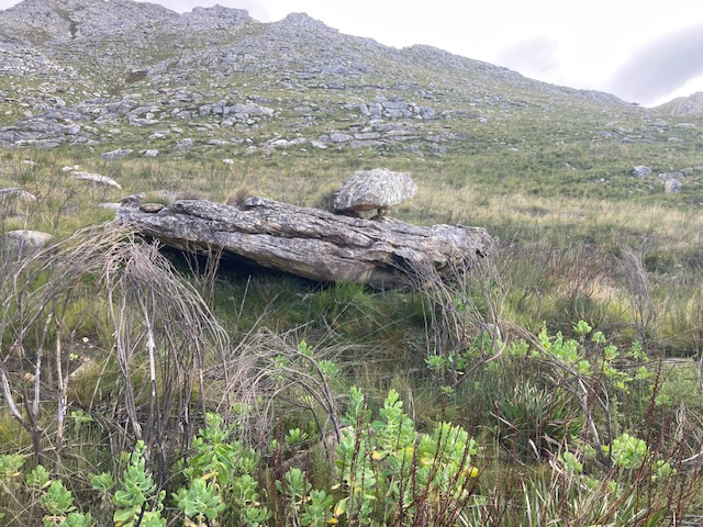 Schoemanshoek Run