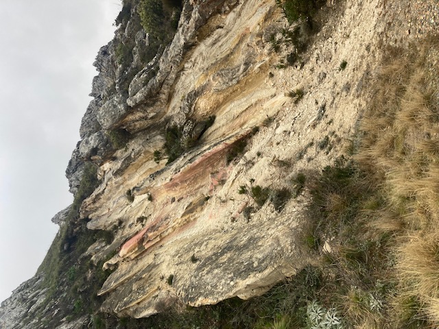 Schoemanshoek Run
